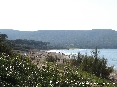 Baratti, Piombino (LI) - Vegetazione tra la pineta e la spiaggia