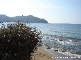 Baratti, Piombino (LI) - Le secche lungo il golfo sono il rifugio di molte specie marine, animali, pesci e piante. 