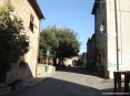 Bolgheri (LI) - Via Giulia nel cuore del borgo