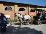 Parco naturale regionale Migliarino, San Rossore, Massaciuccoli, Tenuta di San Rossore (PI) - Visitatori su una carrozza trainata da cavalli bianchi - Fotografia maggio 2008, Toscana
