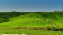 Scorcio di Val d Orcia - Tuscany
<br><br>
Fotografia Toscana Aprile 2016
<br><br>
#bellezzedellatoscana #Toscana #Tuscany #SanQuiricoDOrcia #spring #primavera #ValDOrcia #tuscanylandscape #ilovetuscany #tuscanybuzz #tuscanyporn #instatuscany #tuscanycious #tuscanygram #nature #verde #green #primavera #heaven #campagna #country #countryside #colline #hills #campagnatoscana #cool #amazing #webstagram @igersitalia @igerstoscana @tuscanypeople @tuscanybuzz @discovertuscany @visittuscany #Nikon #NikonD3200