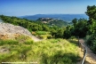 Verde panorama su Monterotondo Marittimo
<br><br>
Fotografia Toscana Giguno 2016
<br><br>
#bellezzedellatoscana #MonterotondoMarittimo #geotermia #Toscana #verde #parcodellebiancane #azzurro #green #amazing #cool #webstagram #instacool #awesome #instaphoto #Tuscany #blue #lightblue #hills #tuscanygram #colline #sky #heavenly #Monterotondo #park #path #panorama #panoraview #instagramers #Nikon #NikonD3200 @tuscanypeople @tuscanybuzz